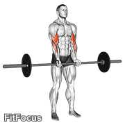 Barbell Standing Close Grip Curl (standing barbell close grip curl) GIF — animated arms exercise demonstration