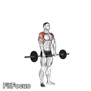 Barbell Standing Front Raise Over Head GIF