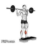Barbell Standing Leg Calf Raise GIF
