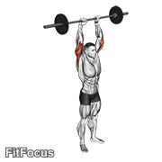 Barbell Standing Overhead Triceps Extension GIF