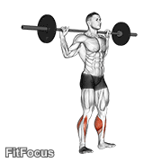 Barbell Standing Rocking Leg Calf Raise GIF