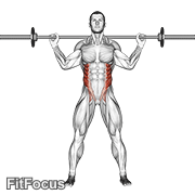 Barbell Standing Twist GIF
