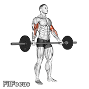Barbell Standing Wide Grip Biceps Curl GIF