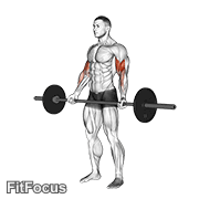 Barbell Standing Wide-grip Curl GIF