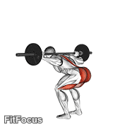 Barbell Stiff Leg Good Morning GIF