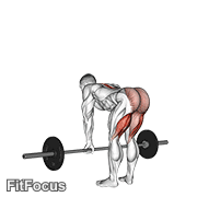 Barbell Straight Leg Deadlift GIF