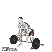 Barbell Sumo Deadlift GIF