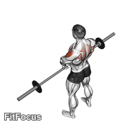 Barbell Upright Row V. 2 GIF