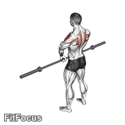 Barbell Upright Row V. 3 GIF
