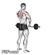 Barbell Upright Row GIF