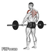 Barbell Wide-grip Upright Row GIF