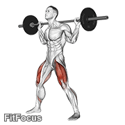 Barbell Wide Squat GIF