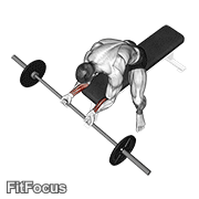Barbell Wrist Curl GIF