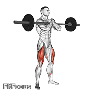 Barbell Zercher Squat GIF