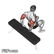 Bench Dip (knees Bent) GIF