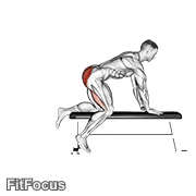 Bench Hip Extension GIF