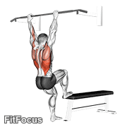 Bench Pull-ups GIF
