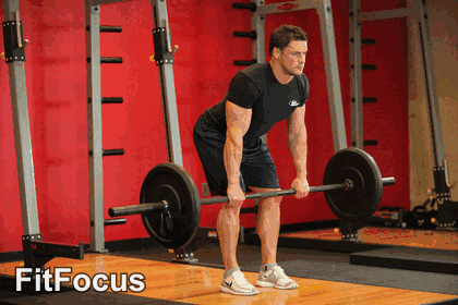Bent Over Barbell Row animated form demonstration