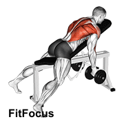 Dumbbell Lying Rear Delt Row
