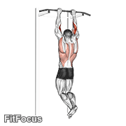 Biceps Pull-up GIF — animated arms exercise demonstration