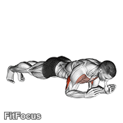 Body-up GIF — animated arms exercise demonstration