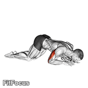 Bodyweight Kneeling Triceps Extension exercise GIF demonstration