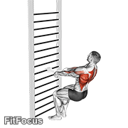Bodyweight Squatting Row (with Towel) GIF