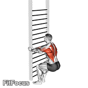 Bodyweight Squatting Row GIF
