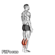 Bodyweight Standing Calf Raise GIF
