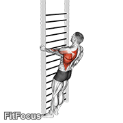 Bodyweight Standing Close-grip One Arm Row GIF