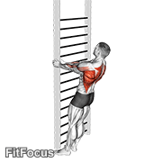 Bodyweight Standing Close-grip Row GIF
