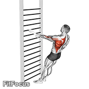 Bodyweight Standing One Arm Row (with Towel) GIF