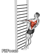 Bodyweight Standing One Arm Row exercise GIF demonstration
