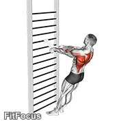 Bodyweight Standing Row (with Towel) GIF