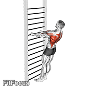 Bodyweight Standing Row GIF