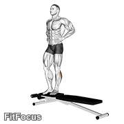 Box Jump Down With One Leg Stabilization GIF