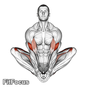 Butterfly Yoga Pose GIF