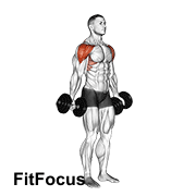 Dumbbell Full Can Lateral Raise