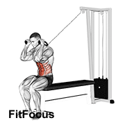Cable Seated Crunch