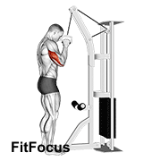 Cable One Arm Tricep Pushdown