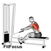 Cable Rope Elevated Seated Row