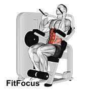 Lever Seated Crunch