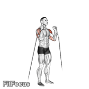 Cable Alternate Shoulder Press GIF