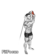 Cable Alternate Triceps Extension