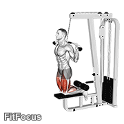Cable Assisted Inverse Leg Curl GIF