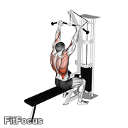 Cable Bar Lateral Pulldown GIF