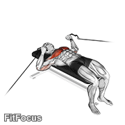 Cable Bench Press GIF — animated chest exercise demonstration