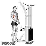 Cable Close Grip Curl GIF
