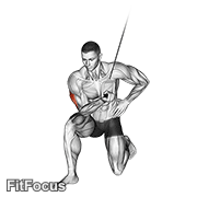 Cable Concentration Extension (on Knee) GIF