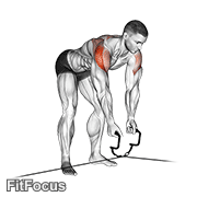 Cable Cross-over Revers Fly GIF